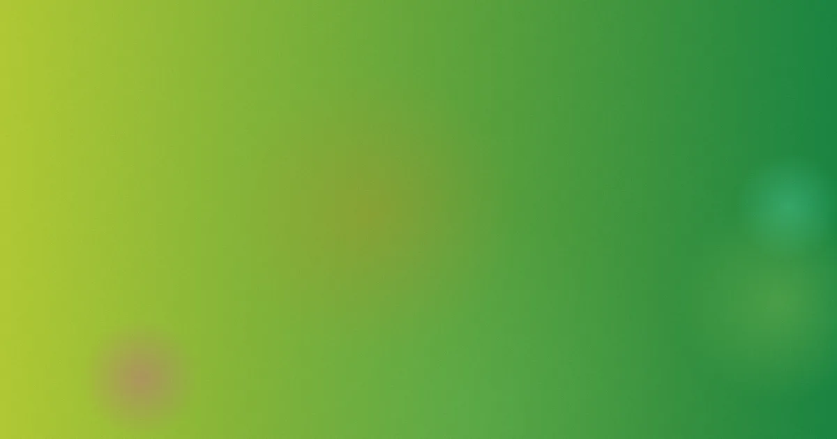 陈文推荐：新手怎么选不踩空