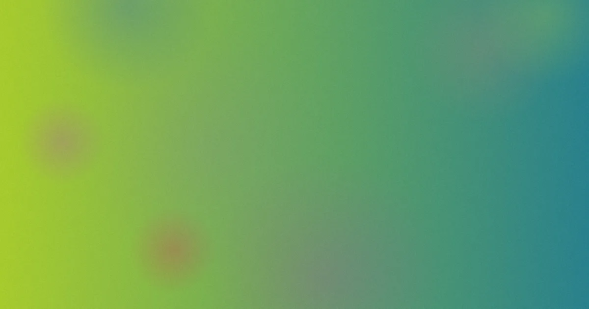 blackout测评：5步避坑